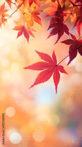 Autumn background with red and orange leaves and bokeh light effect. Autumn background with blurred nature scene