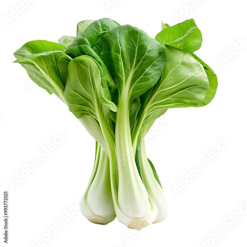 Pak choy, Pak Choi, Vegetable, Isolated on Transparent Background, Graphic Resource for Gourmet Advertising, Menu Design and Packaging