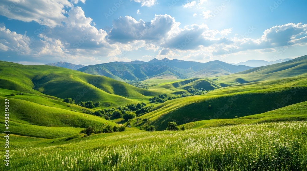 Fototapeta premium Azerbaijan's countryside is stunning, especially on a sunny afternoon in spring. The mountains are beautiful, with rolling green hills and grassy fields. It's a peaceful and picturesque place.