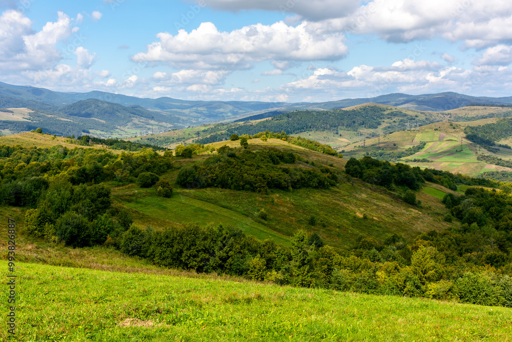 Obraz premium mountainous countryside landscape in autumn. green fields and trees on the hill. sunny day. view in to the distant valley. beautiful outdoor scenery of carpathians. rural region of ukraine