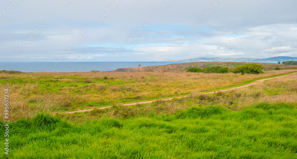 Wild shore with rocks and stones along the coast of northern Spain, Muxia, Galicia, September 12, 2024 Wild shore with rocks and stones along the coast of northern Spain, Muxia, Galicia, September 12, 2024