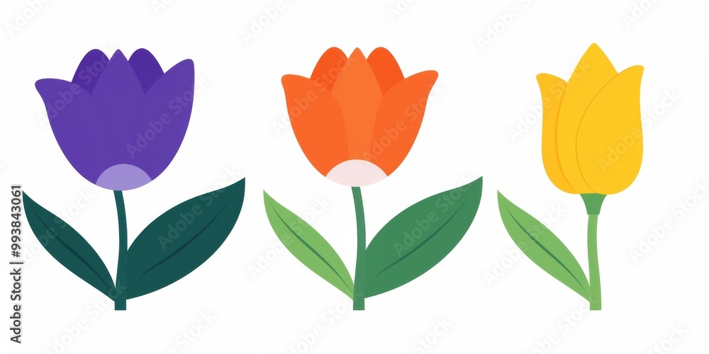 Fototapeta premium Three Colorful Flowers on a Clean White Background