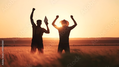 agriculture wheat. two farmers work in a field with wheat. agriculture business farm concept. farmers examining wheat sprouts in an agricultural lifestyle field with laptop silhouettes sunset