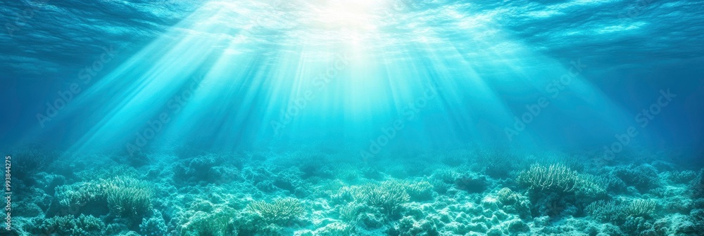 Blue ocean surface with coral reefs and sun rays coming from above Blue ocean surface with coral reefs and sun rays coming from above