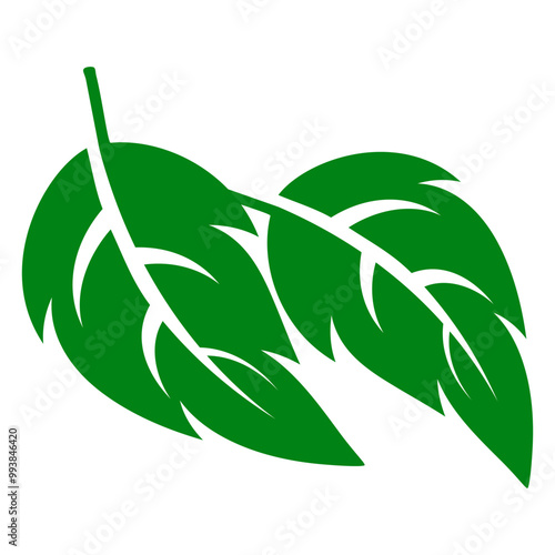 shape collection different green leaves of tree, plants, leaf and swirls branches. Stock vector icon, isolated white background. Element for ecographic, natural design, vegan logo, bio labels photo