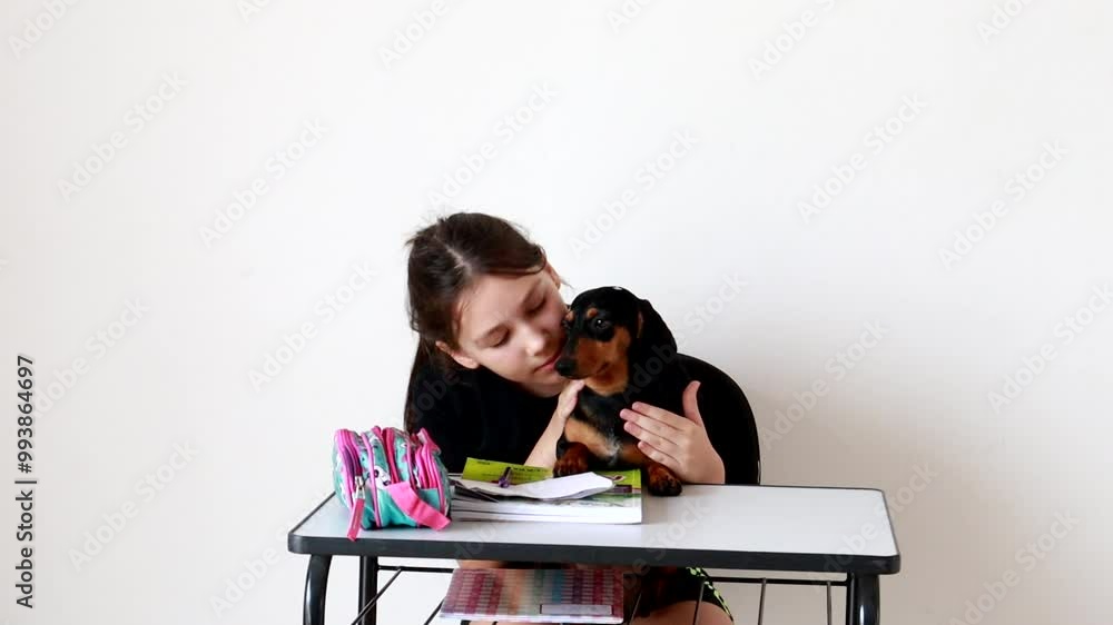 Menina com cachorro fofo em carteira escolar