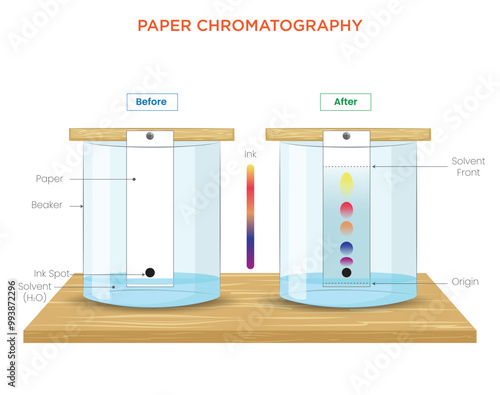 Paper Chromatography Diagram Separation of Mixtures and Pigment Analysis