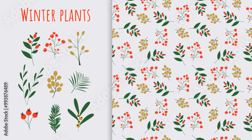 Handdrawn winter plants set with red and gold berries. Seamless vector pattern on grey background. photo