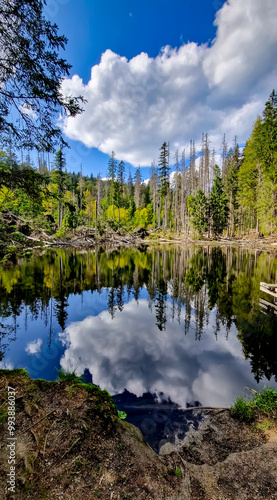 Obraz na plátně A peaceful view of Boubín Lake in the Boubín primeval forest in Šumava National Park