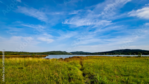 Scenic part of the educational trail Olšina in the Šumava region, with a wooden path winding through wetlands, meadows and trees. 