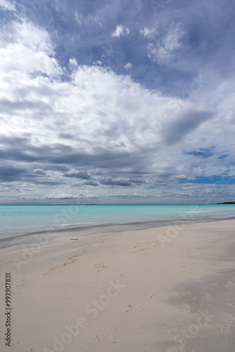 Tropical beach with white sand and turquoise sea in Tuscany Italy at Spiagge Bianche