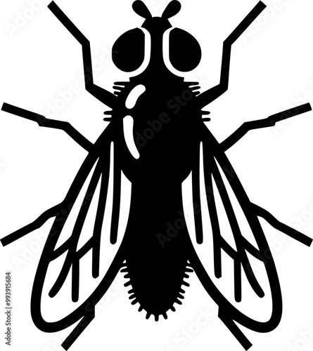 Housefly Illustration for Use in Biological and Zoological Posters