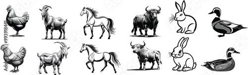 set of livestock vector illustration logo designs