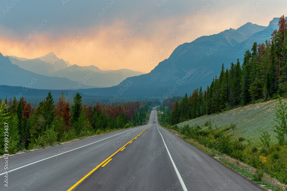 Forest fire highway at sunset, Jasper national park, Canada. Forest fire highway at sunset, Jasper national park, Canada.