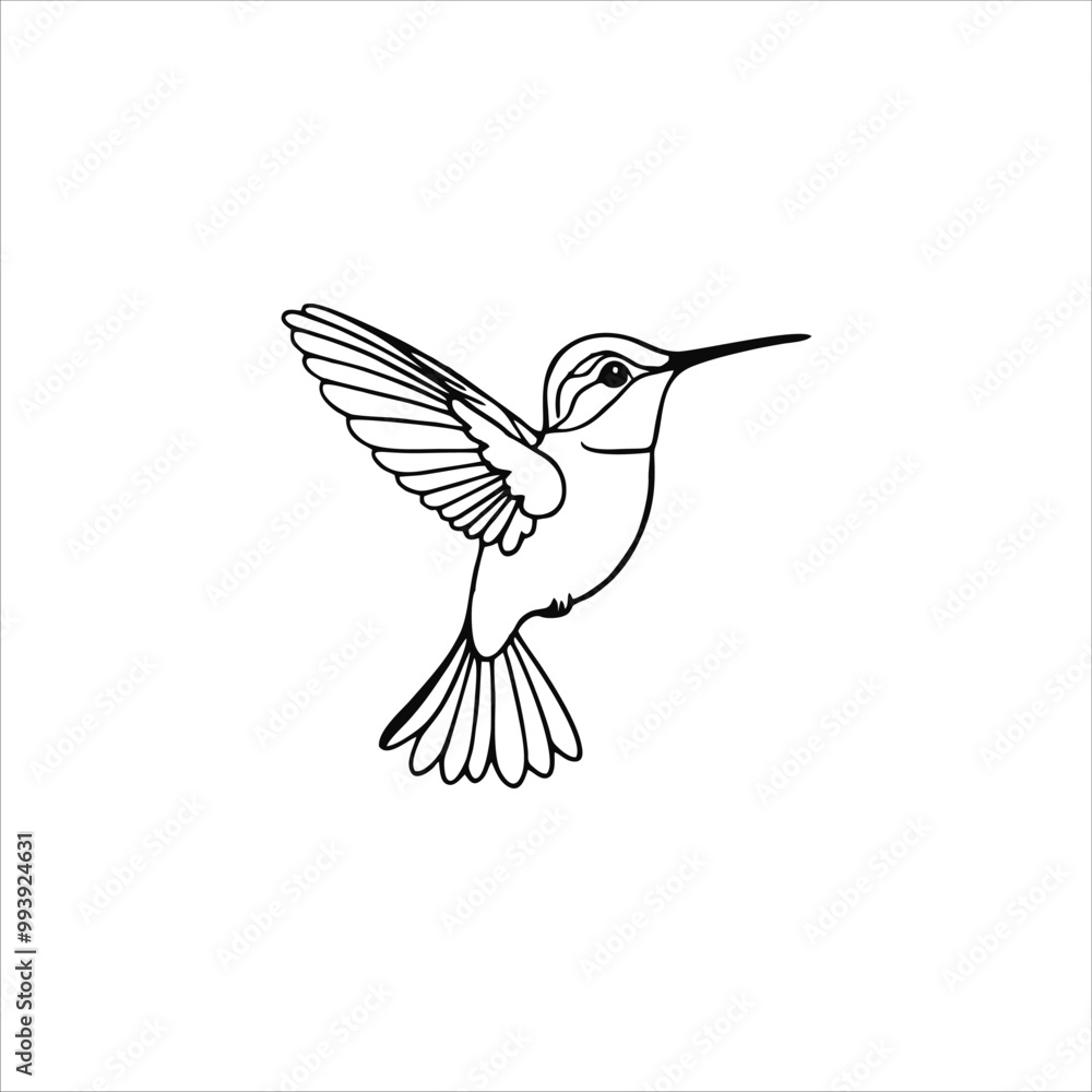 Obraz premium Hummingbird vector illustration logo concept design
