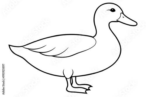 duck vector silhouette illustration