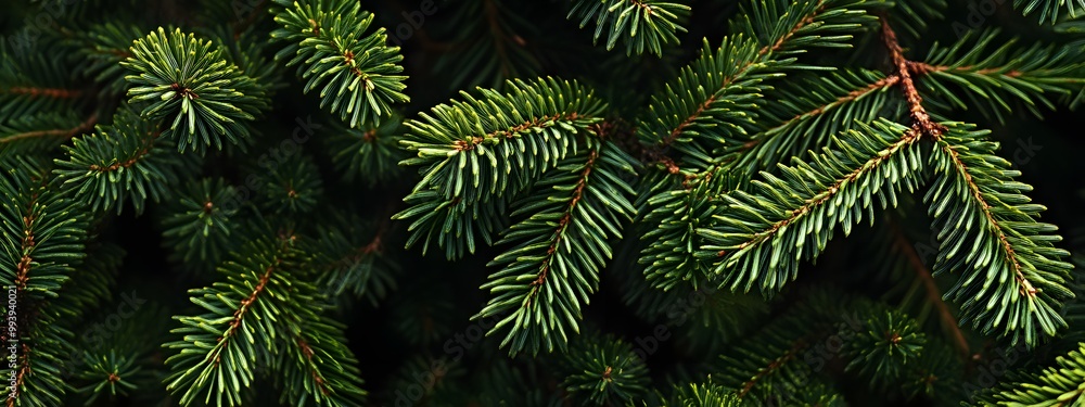 A close-up shot of the green pine tree branches, showcasing their intricate details and textures A close-up shot of the green pine tree branches, showcasing their intricate details and textures