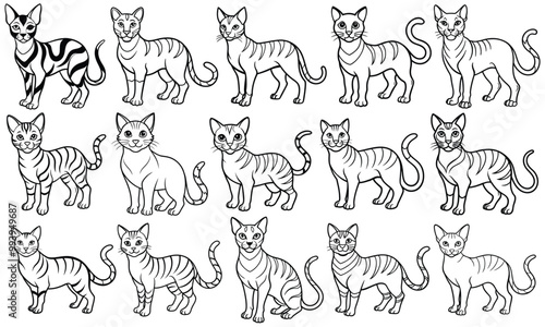 Dakota Cat Coloring Page for Kids, Cute Baby Animal in Simple Line Art, Great for Children’s Activity Books and Toddler Fun. Isolated on White Background for Engaging Early Learning Activities.