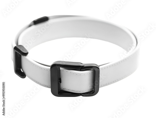 White Silicone Dog Collar with Silver Buckle and D-ring - Pet Accessories