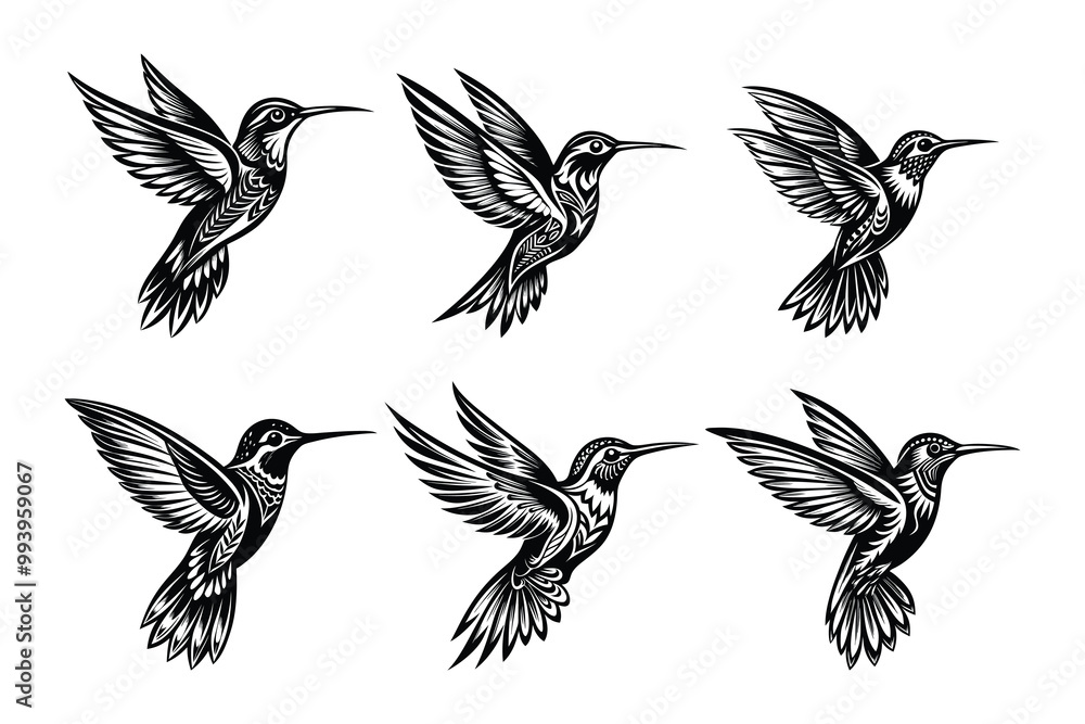 Obraz premium Hummingbird silhouette design bundle set in creative vector clip art with a white background