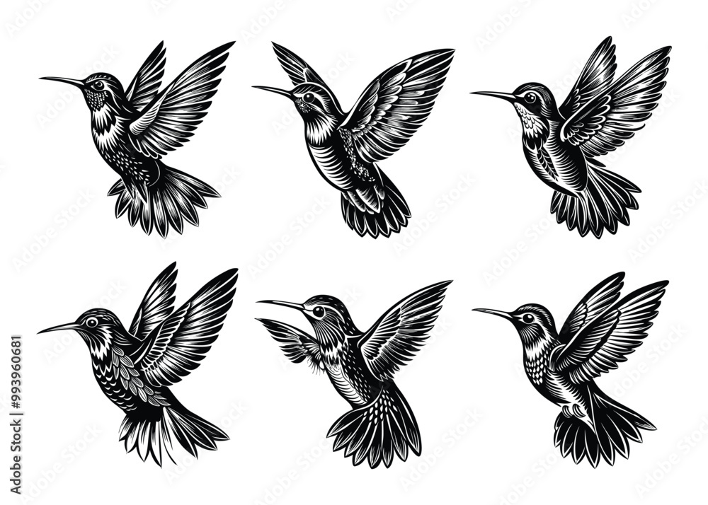 Fototapeta premium Hummingbird silhouette design bundle set in creative vector clip art with a white background