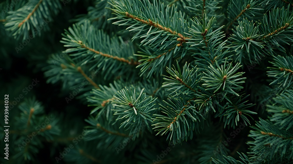 A close-up shot of the green pine tree branches, showcasing their intricate details and textures A close-up shot of the green pine tree branches, showcasing their intricate details and textures