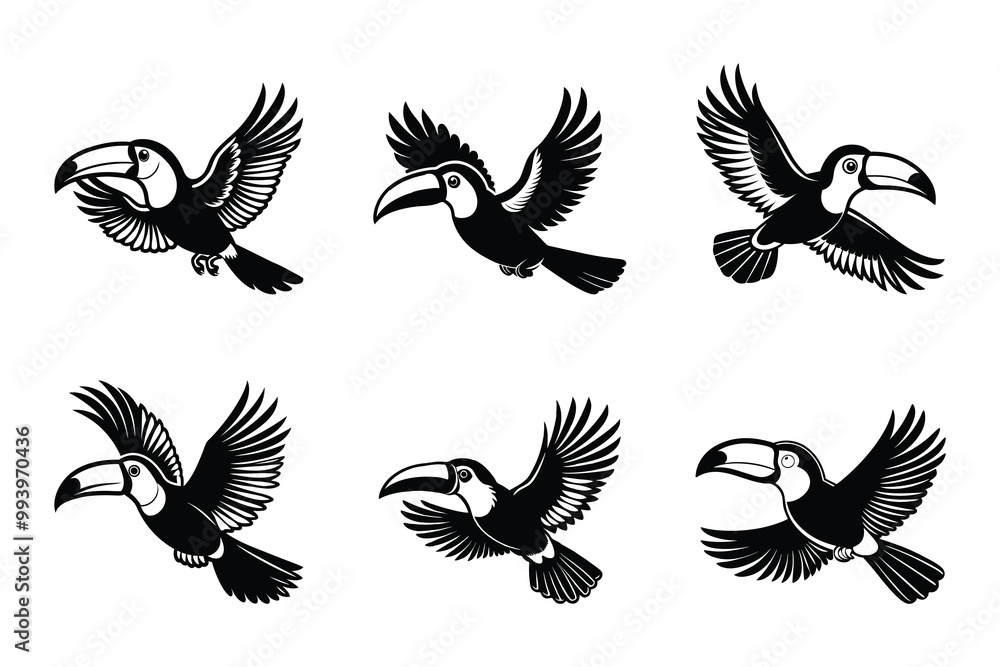 Obraz premium Toucan silhouette bundle set in vector style clip art with white background