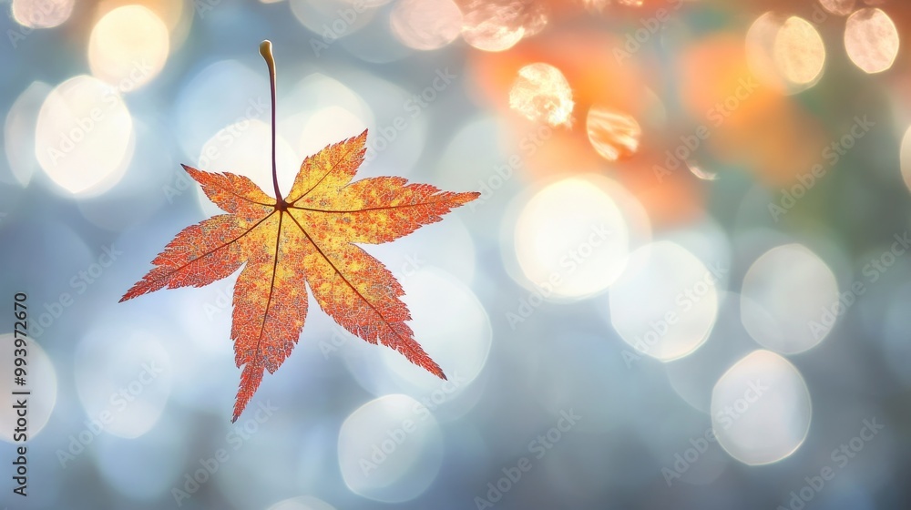 Fototapeta premium A bright autumn leaf against a blurred background.