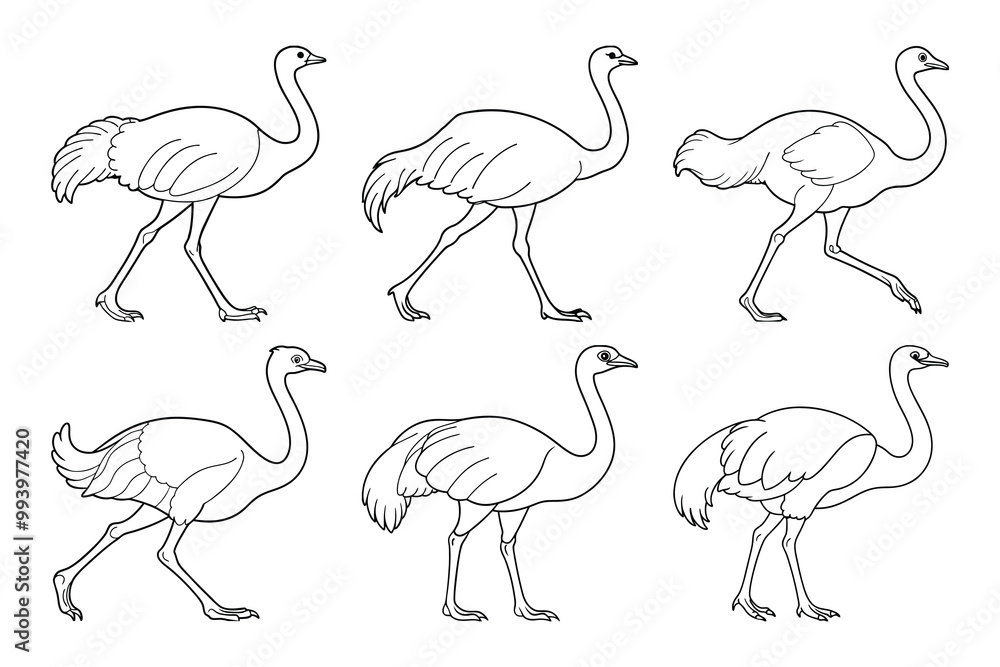 Obraz premium Common Ostrich silhouette bundle set in vector style clip art with white background