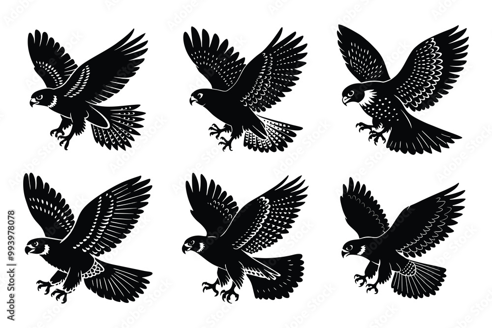Fototapeta premium Vector clip art style falcon flying silhouette bundle set with white background