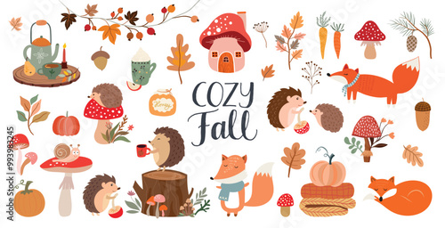 Autumn elements collection, forest animals, seasonal leaves and plants, isolated on white