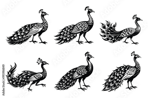 Peafowl silhouette design bundle set in creative vector clip art with a white background