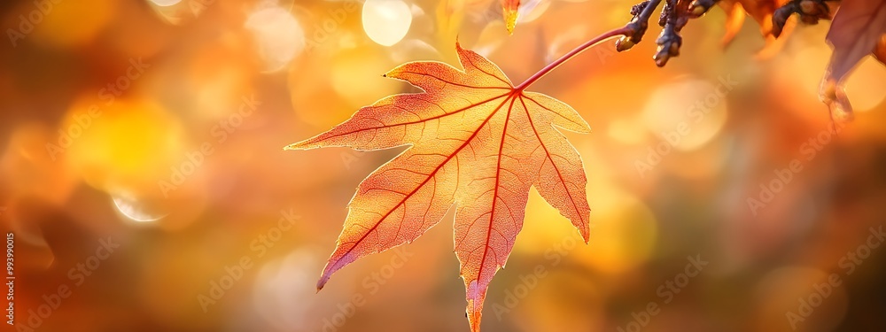 A close-up of an autumn maple leaf, with the background blurred and a bokeh effect creating a warm atmosphere A close-up of an autumn maple leaf, with the background blurred and a bokeh effect creating a warm atmosphere