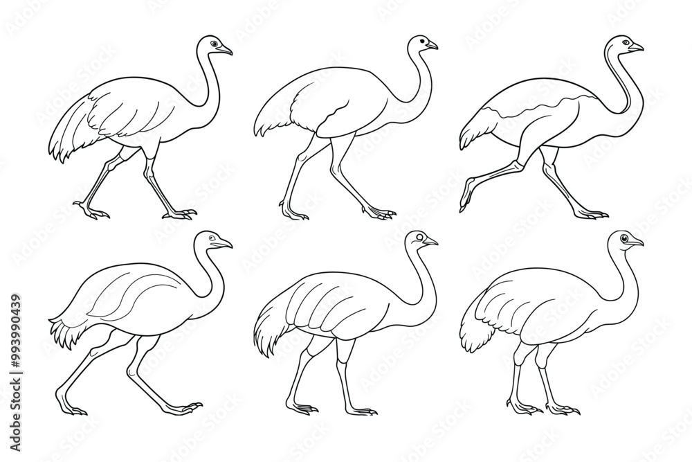 Obraz premium Vector clip art style emu silhouette bundle set with white background