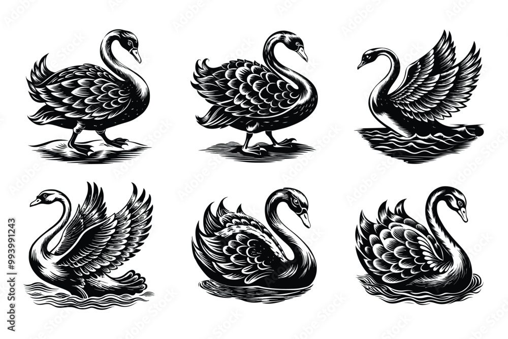 Obraz premium Swan silhouette design in vector style with a white background