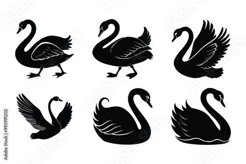 Swan silhouette design in vector style with a white background