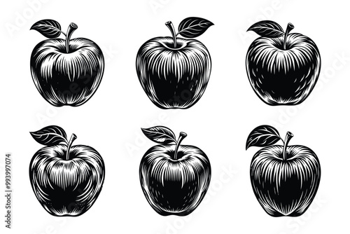 Apple silhouette bundle set in vector style clip art with white background