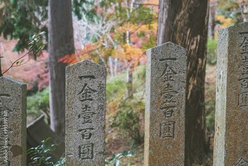 [KYOTO]A world-famous temple in Kyoto that is famous for its autumn foliage, Bishamondo-Monzeki, Japan photo