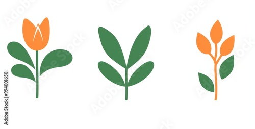 Three minimalist plant icons in dark green and orange on a white background