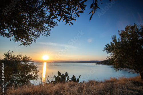 View from a hill with olive trees into the sunset and the sea. Evening mood of a Mediterranean landscape on the beach and coast of Ouranoupoli, Thessaloniki, Central Macedonia, Greece photo