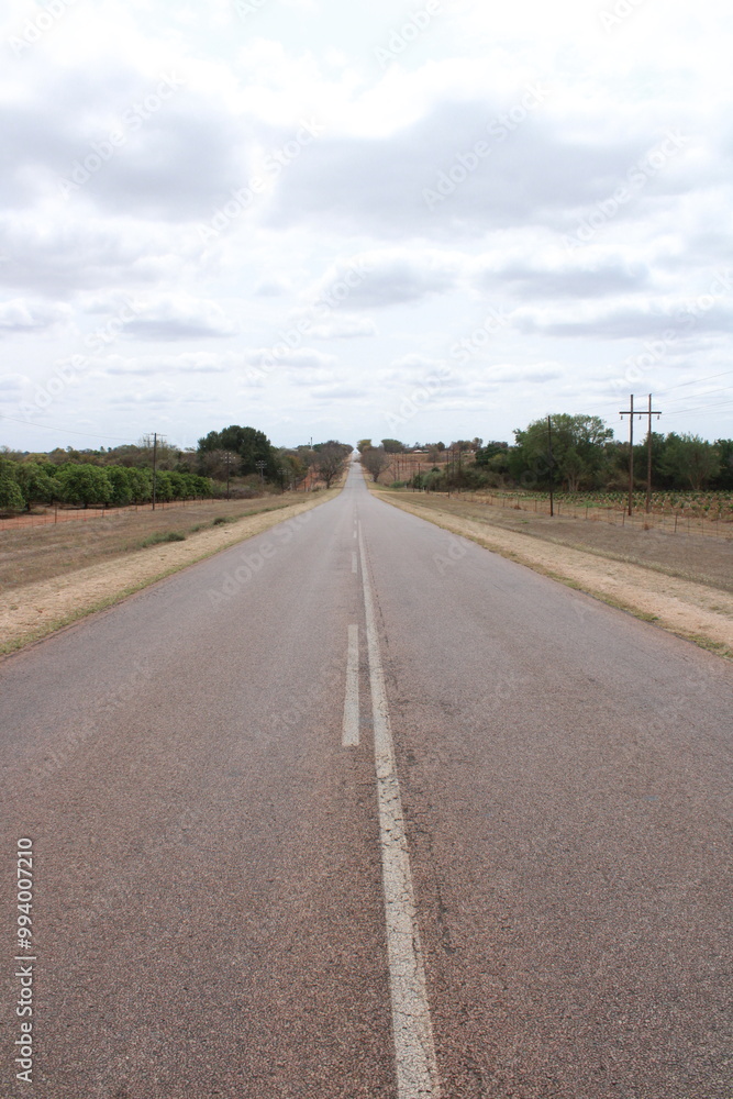 tarred asphalt road with trees alongside tarred asphalt road with trees alongside