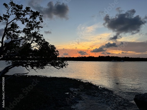 Tropical Sunset Florida Keys