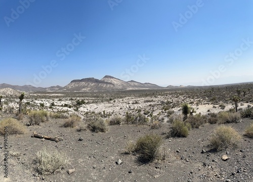 Nevada Desert Landscape