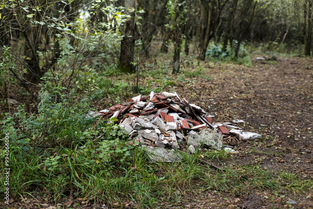 Abandoned construction waste in the forest, environmental pollution.