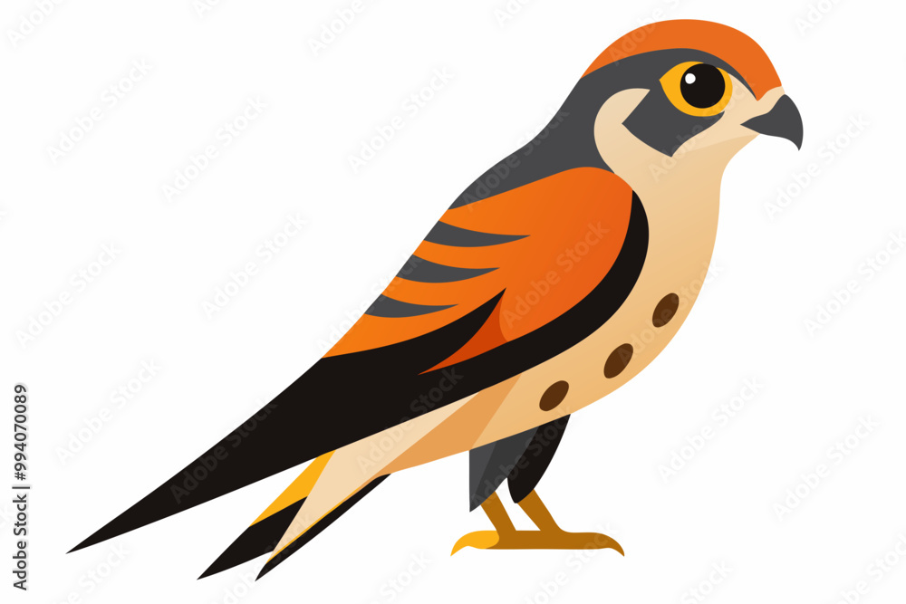 Fototapeta premium Vector illustration of Red-throated Pipit bird