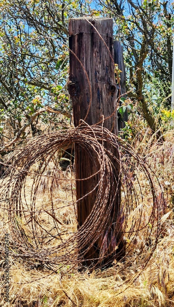 Obraz premium An old roll of barbed wire leaning up against an old fence post in a dried out field off of an old dirt road