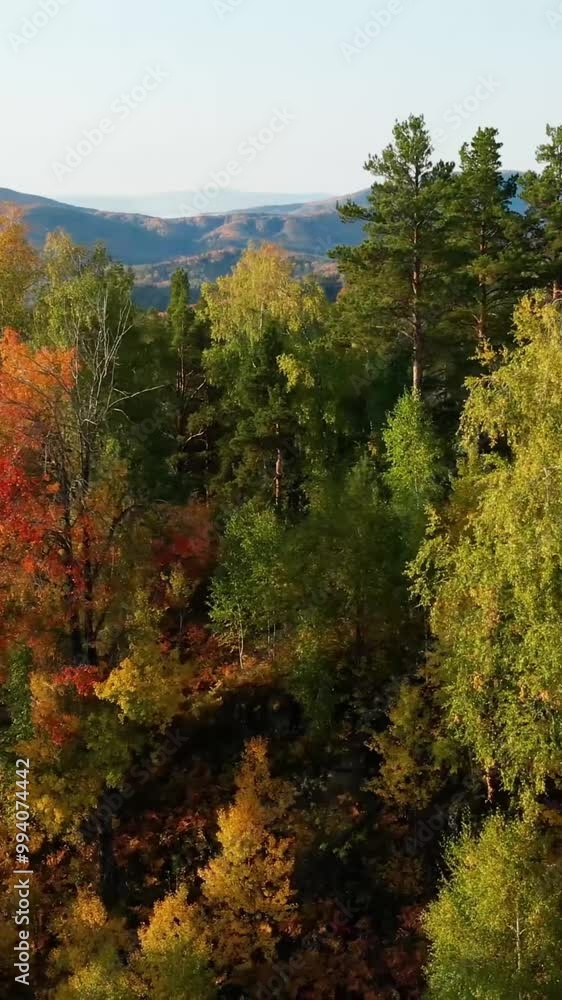 Aerial view of mountain during autumn Aerial view of mountain during autumn