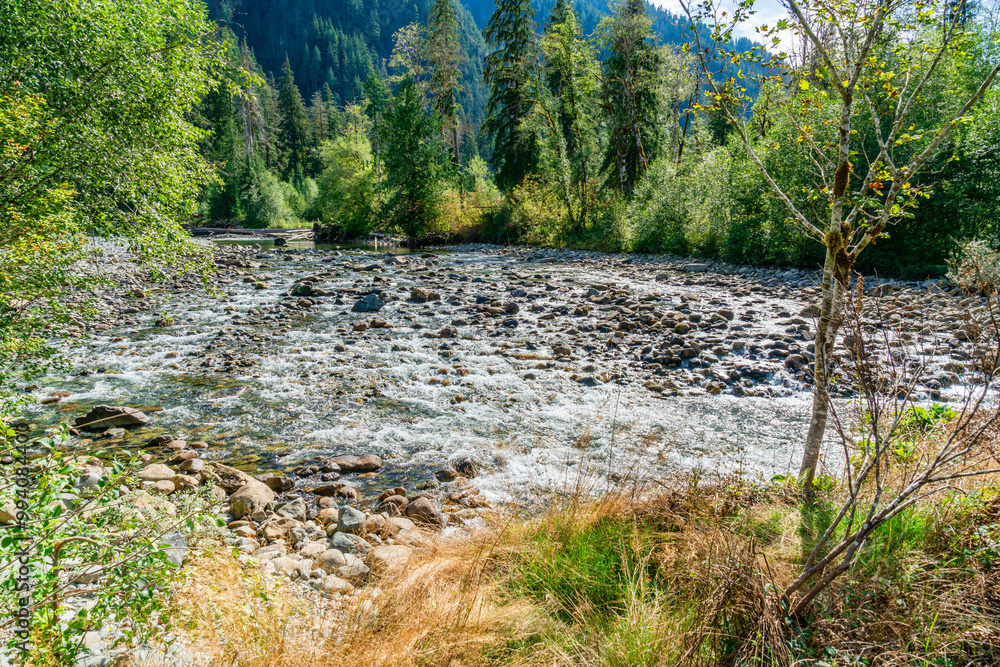 Fototapeta premium Forest Mountain River Landscape 6