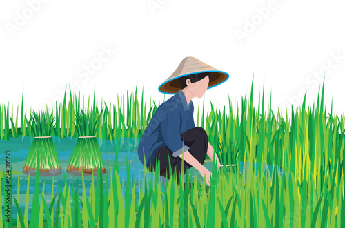Farmers withdraw seedlings for planting vector design