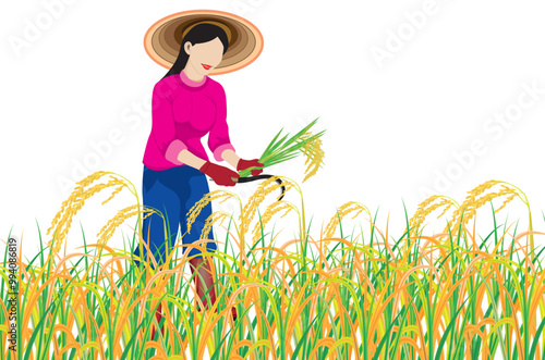 farmer harvest rice on white background vector design